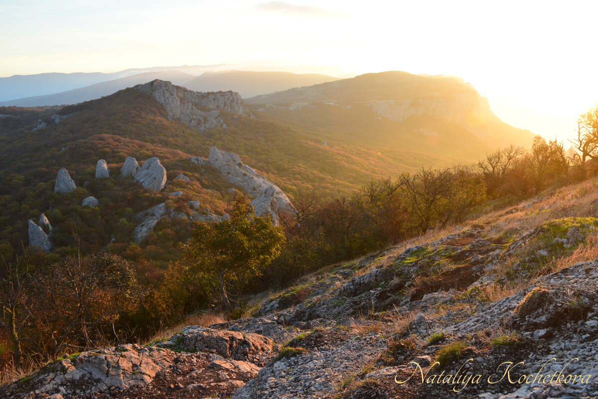 Природа Крыма - Amazing Cosmea