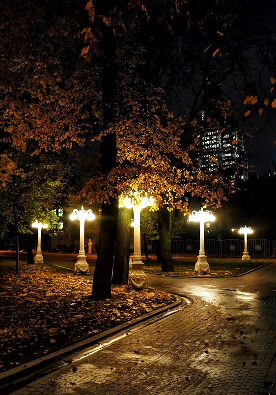 В осеннем парке. - Михаил Малец