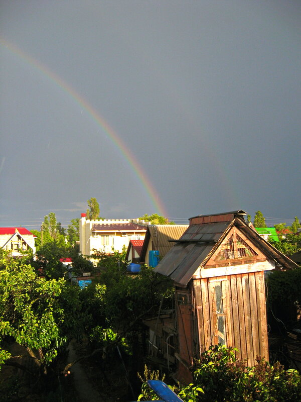 дядюшкина голубятня - Всеволод 