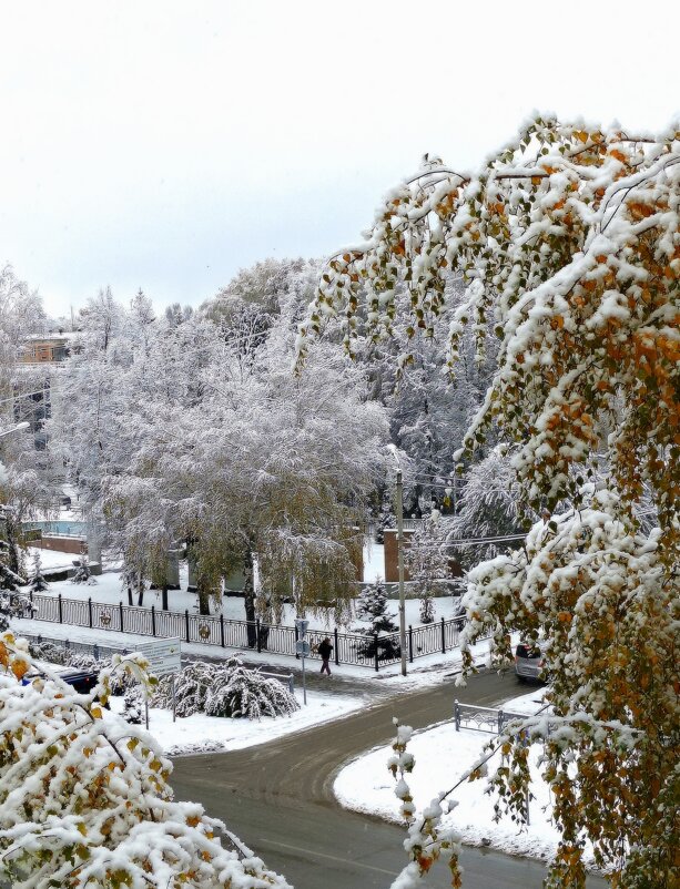 Утро после снегопада . - Мила Бовкун