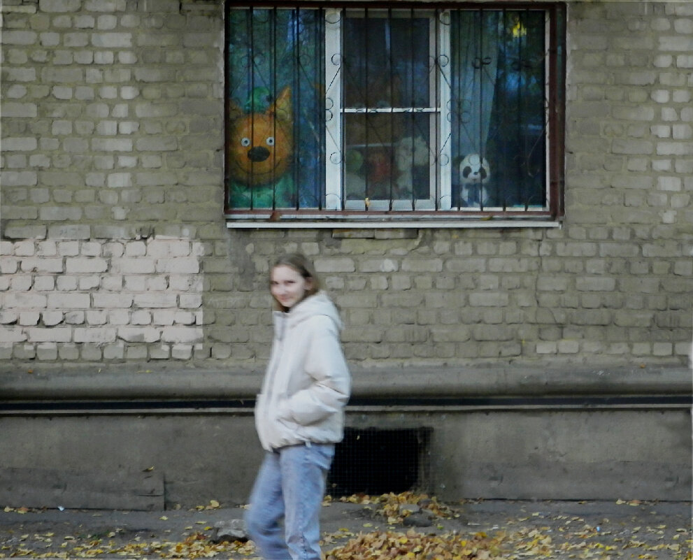 в окошке "кошки" - Лера 