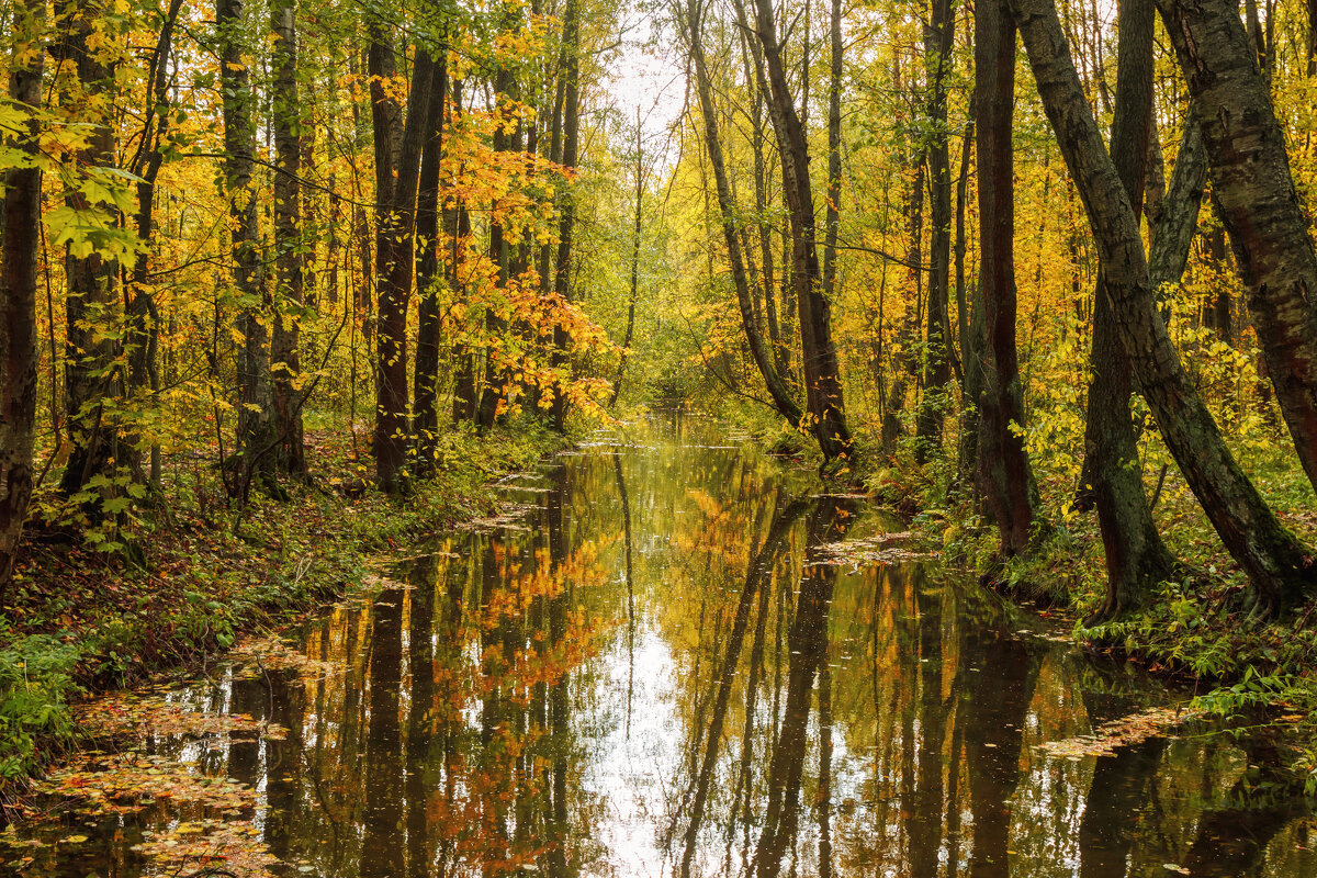 Про Питер - Владимир Колесников