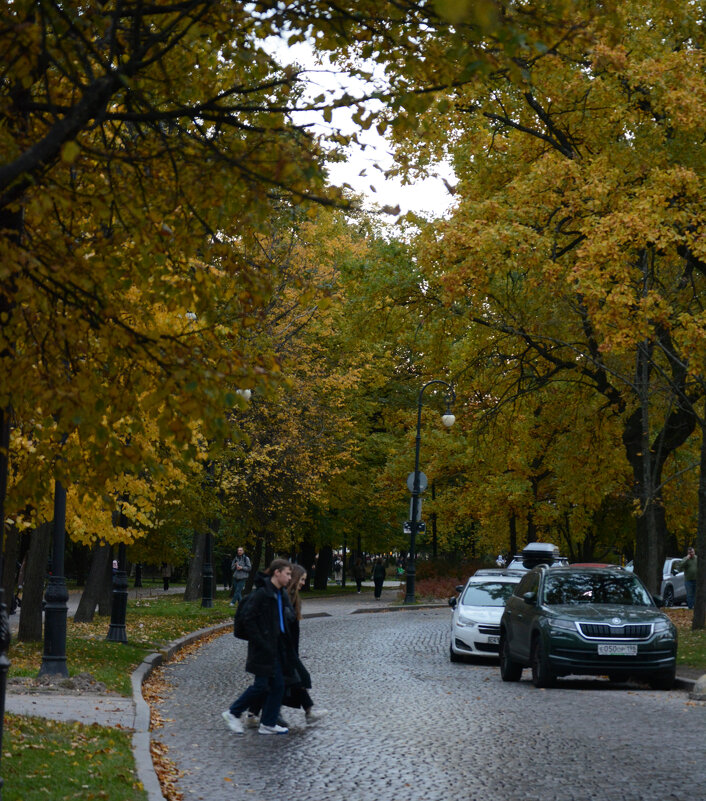 Осенние ритмы - Елена K