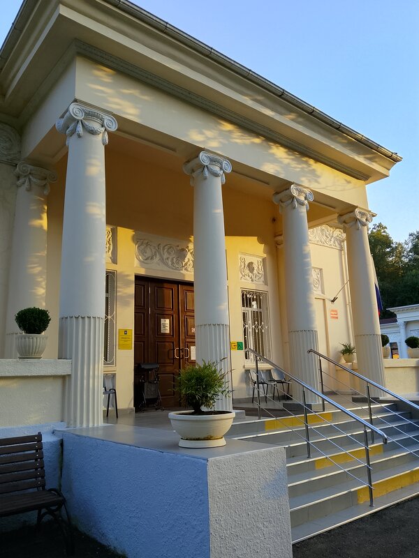 МАЦЕСТА - Tata Wolf