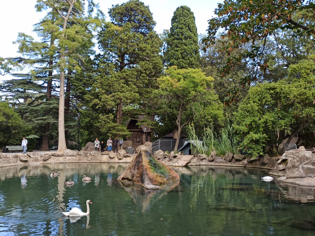 Воронцовский парк. Крым. - Галина 