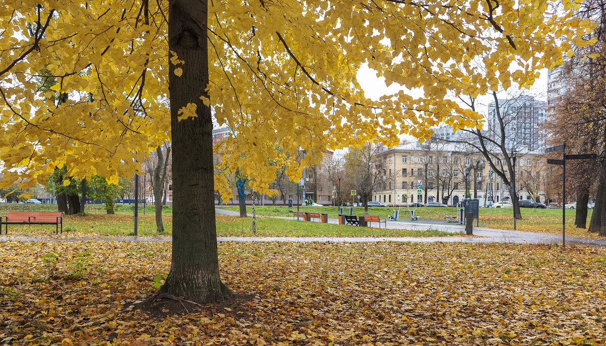 Осенний Сюжет - юрий поляков