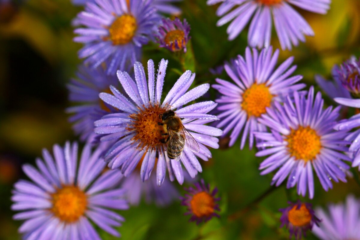 В октябре - Юрий. Шмаков