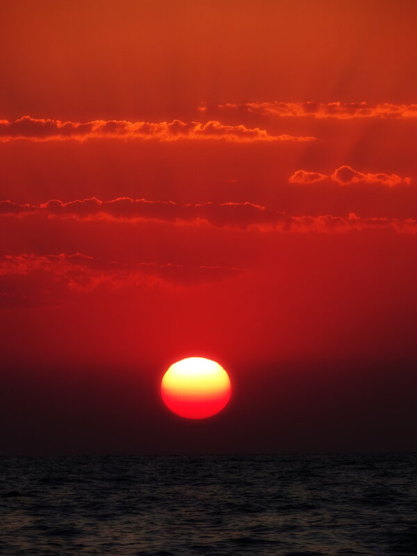 Падение - Павел Трунцев