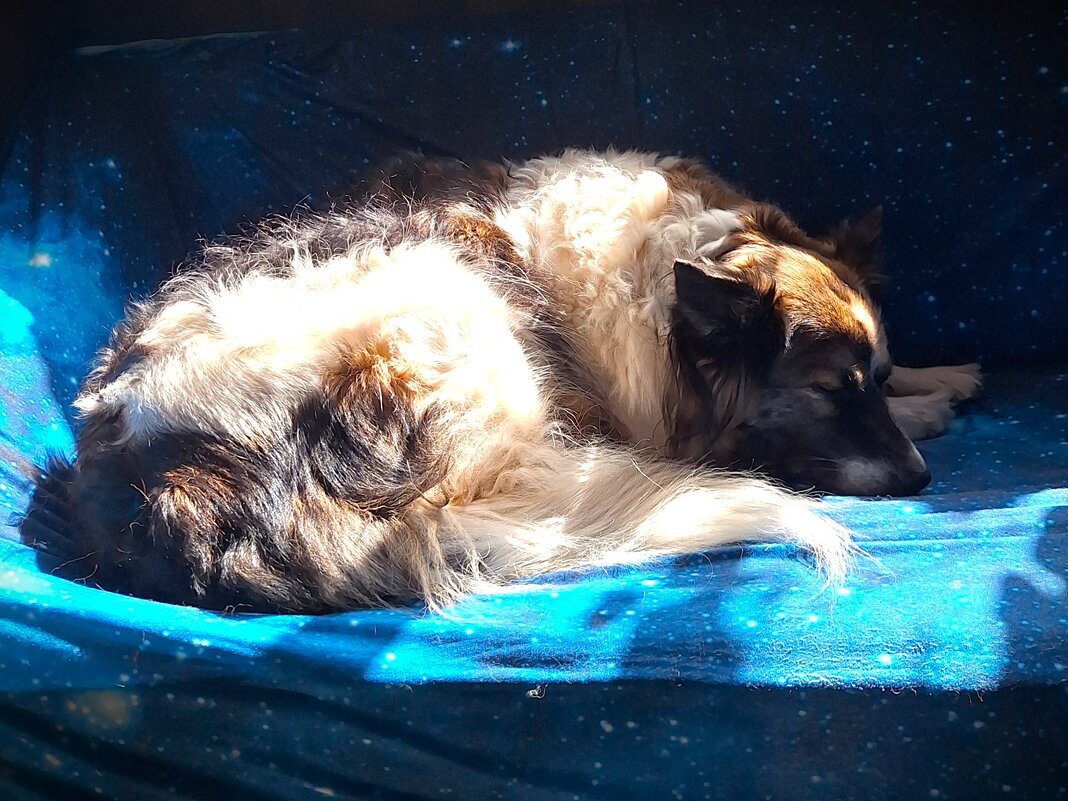 На солнышке - Наталья 