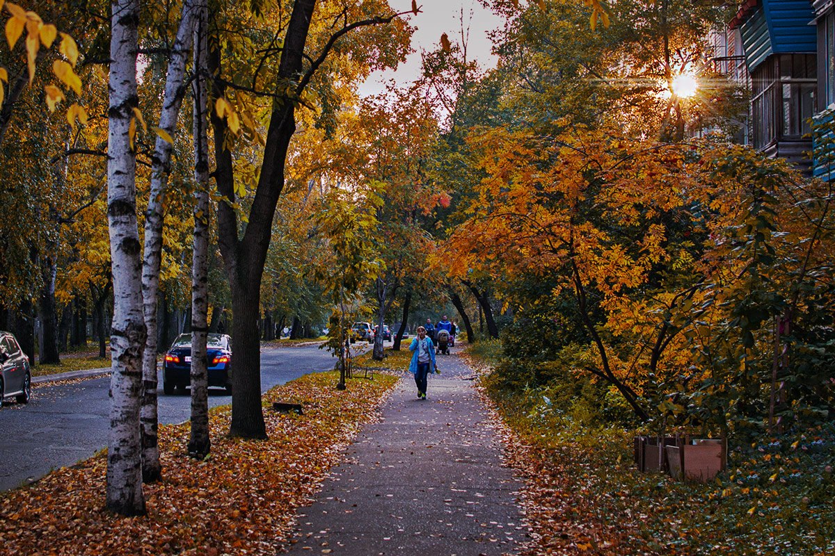 Прощальная краса - Людмила Фил