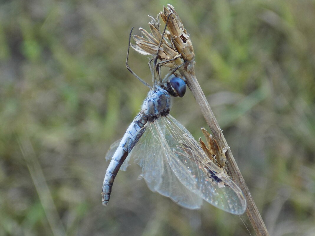 Акробатический этюд - Константин Штарк