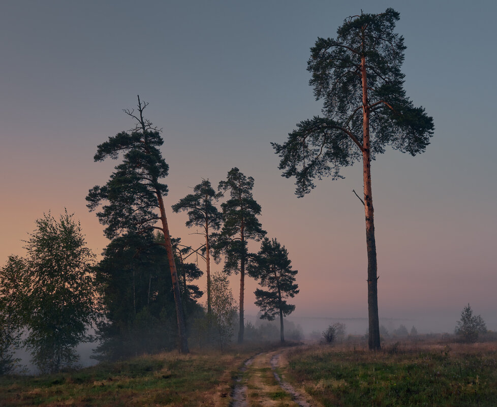 В туман ... - Roman Lunin