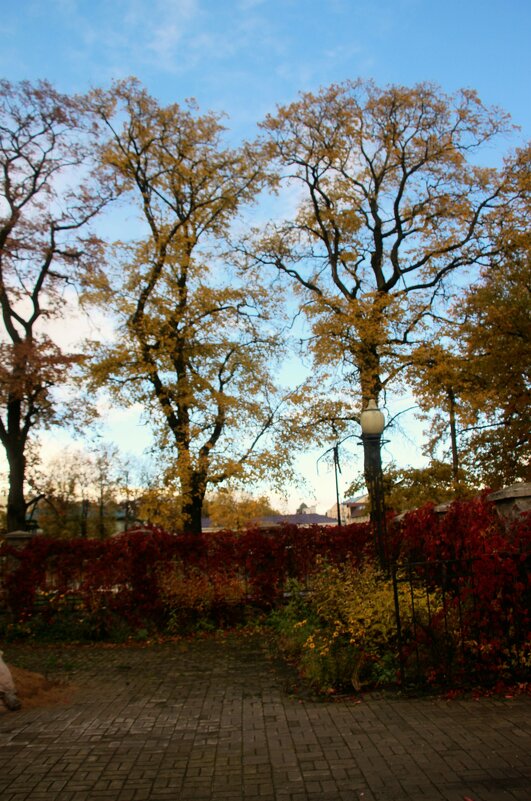 Октябрь - Наталья Герасимова