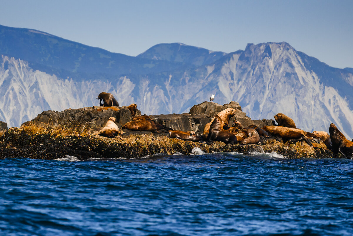 ... - Жора Житников