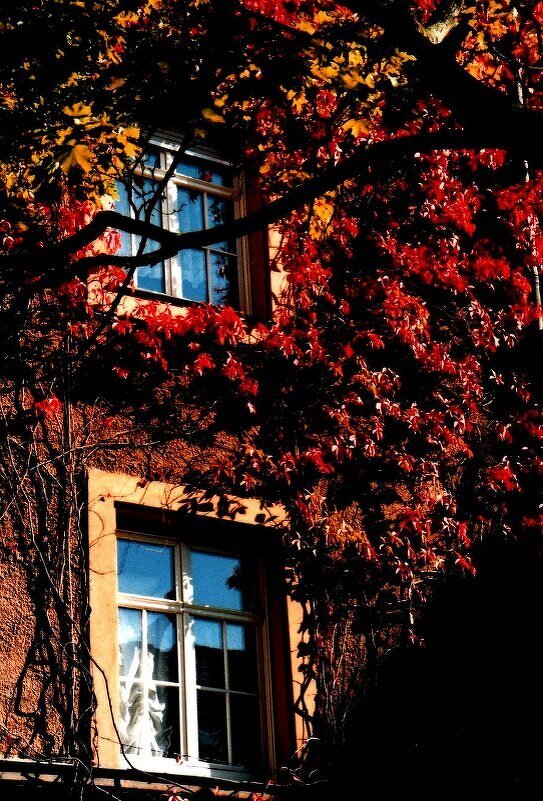 Осень 1 - Алексей Кузнецов