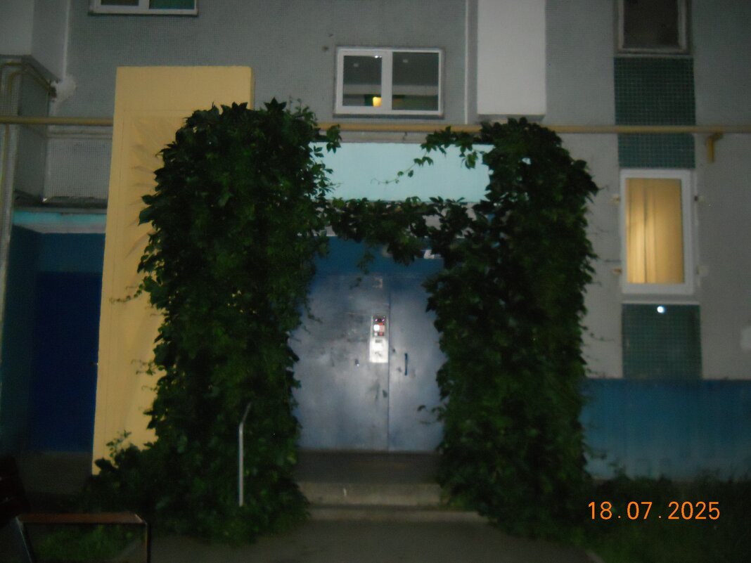 лианы - fogmeadowww m