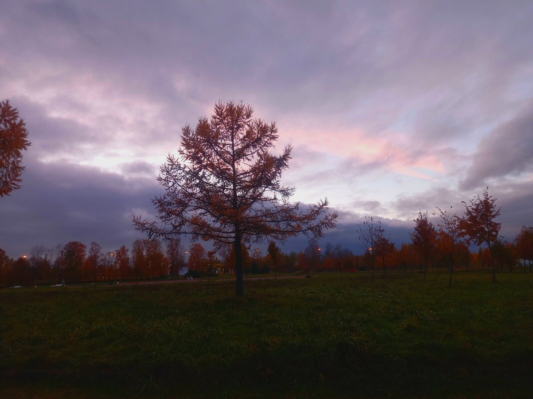 Закат - Сапсан Закат - Сапсан