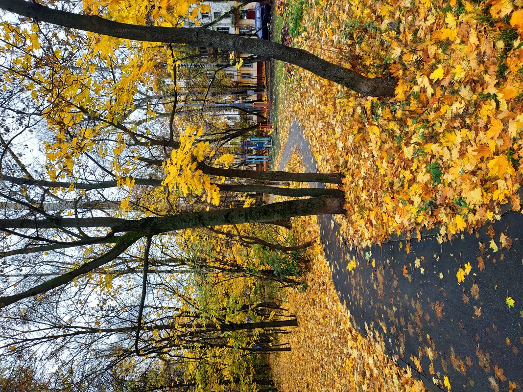 Осень в городе - Андрей Лукьянов