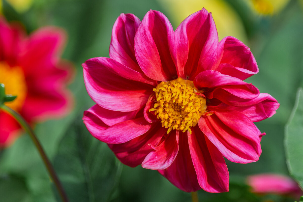 *** - Виктор Иванович Чернюк