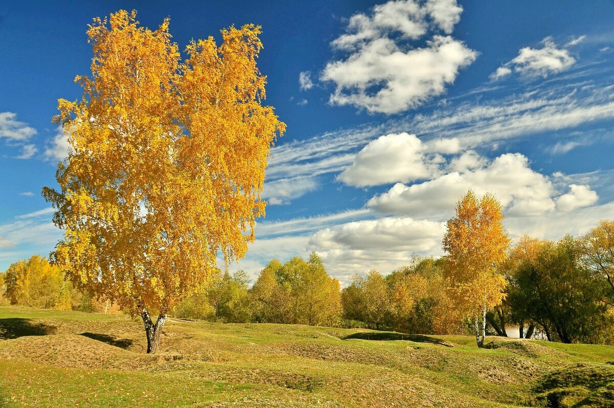 Осень - Владимир Зыбин