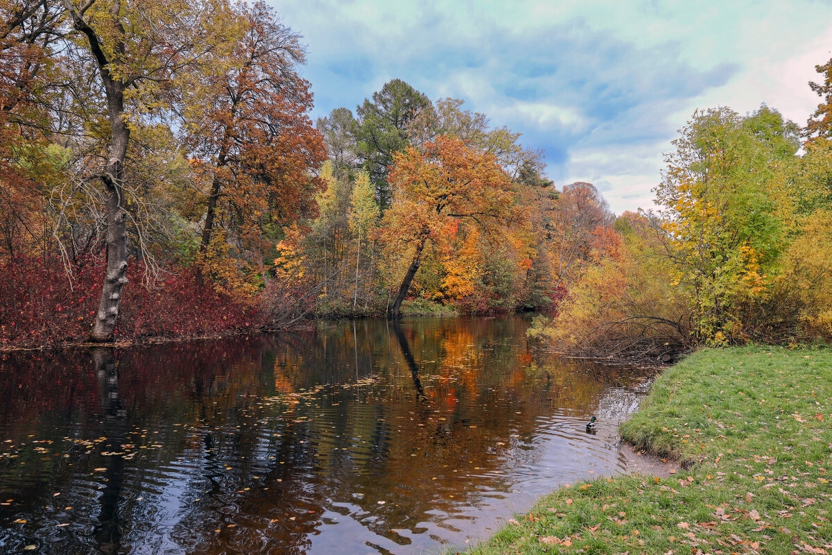 Елагин остров - skijumper Иванов