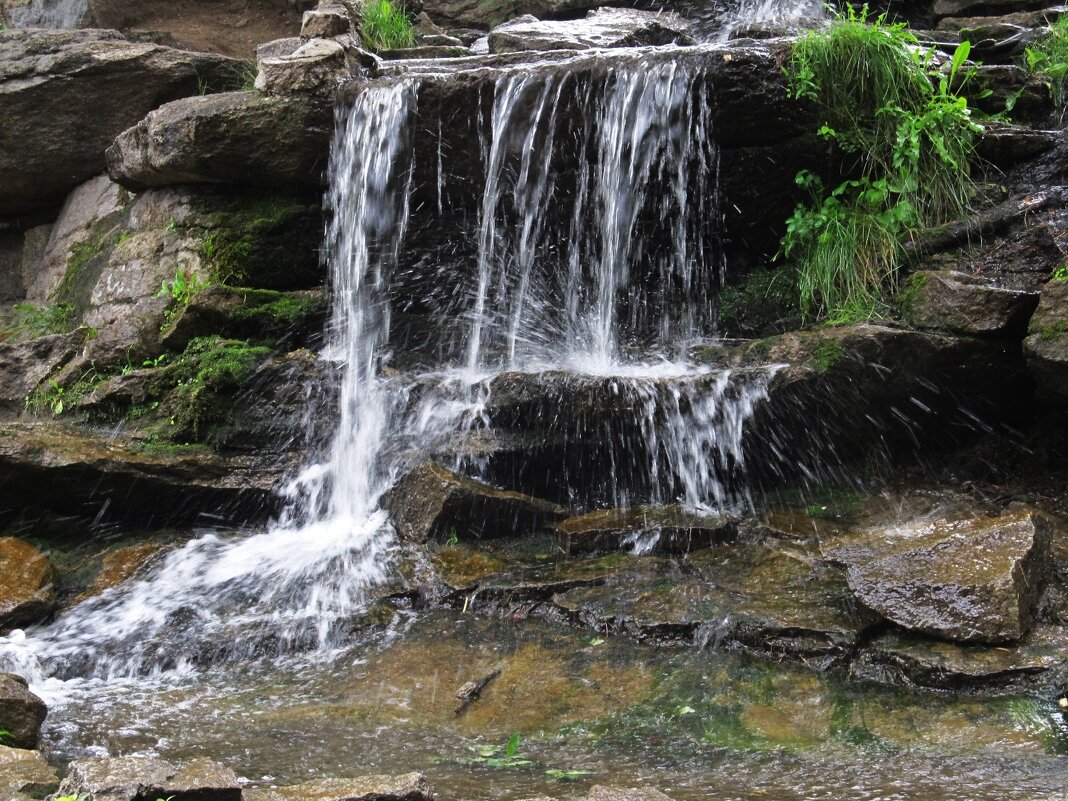 Радуга-парк - Елена Шаламова