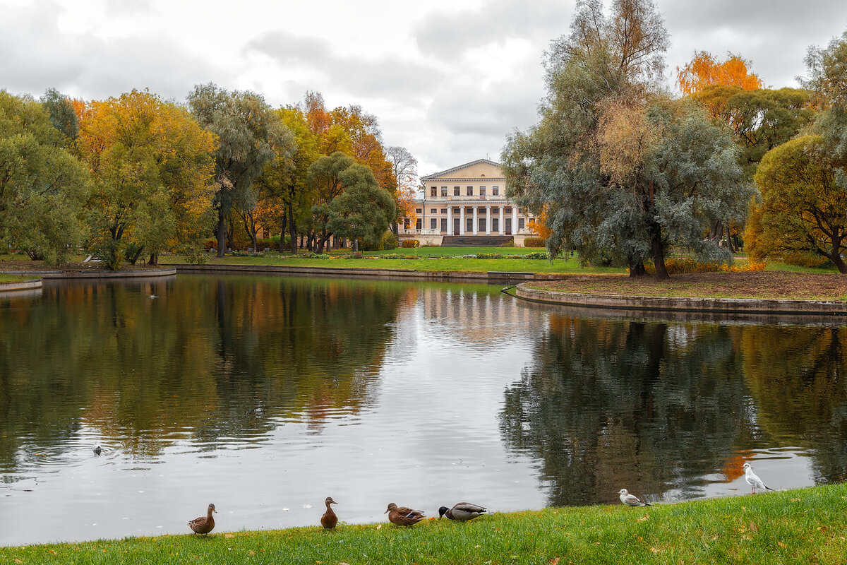 *** - Александр Кислицын