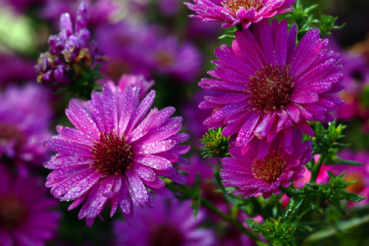 Доброе утро - Юрий. Шмаков