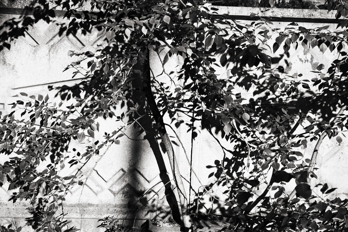 Фотография - Денис Безногов