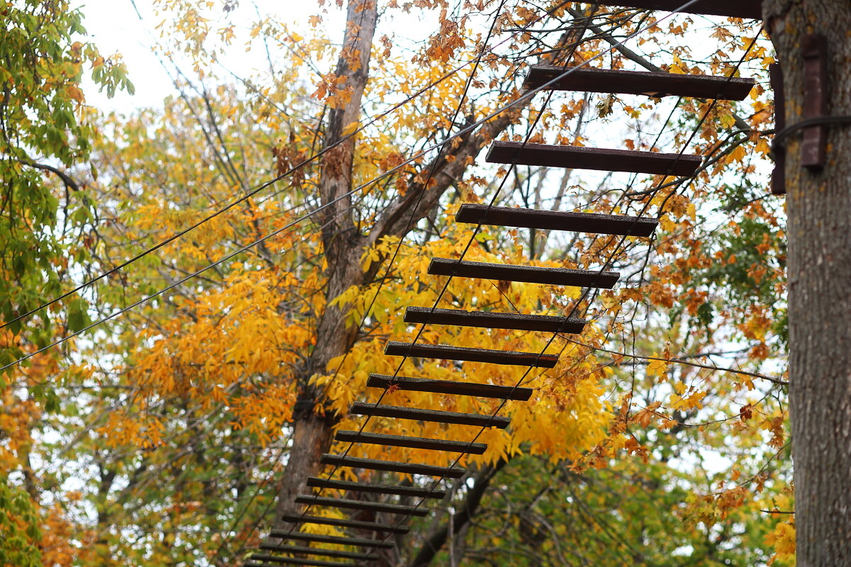 Для детворы - Юрий Гайворонскiий