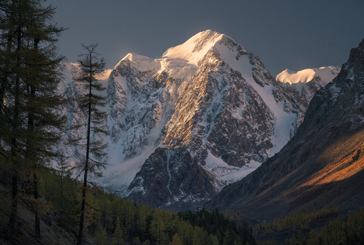 * - Александр Иванов