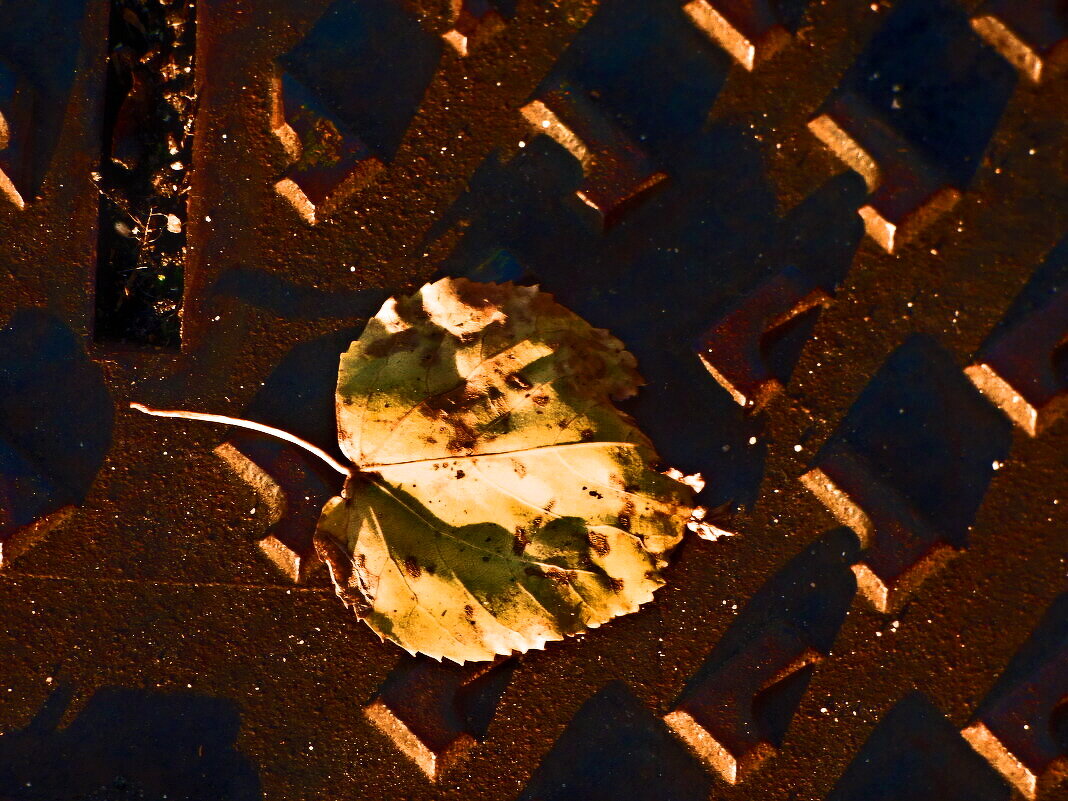 Осень 8 - Алексей Кузнецов