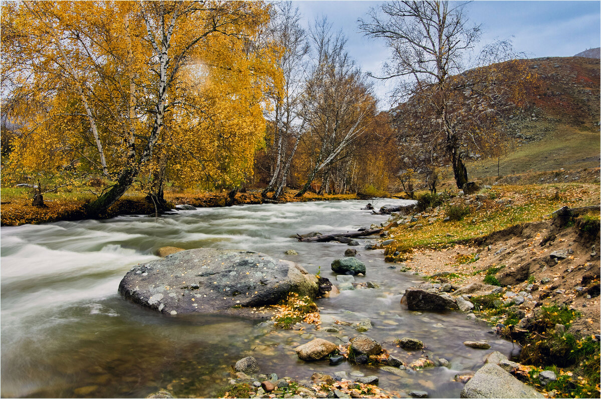 *** - Алексей Мезенцев