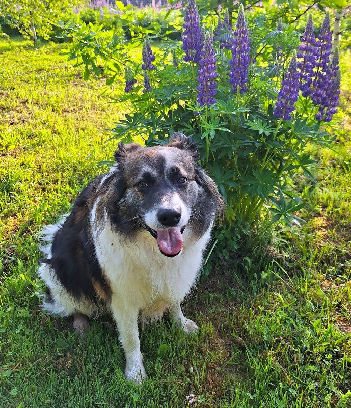 Ося - Наталья 