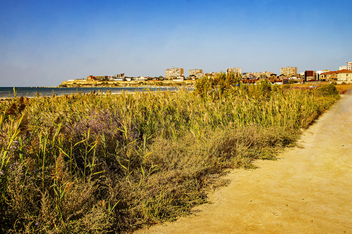 Берег Каспия - Анатолий Чикчирный