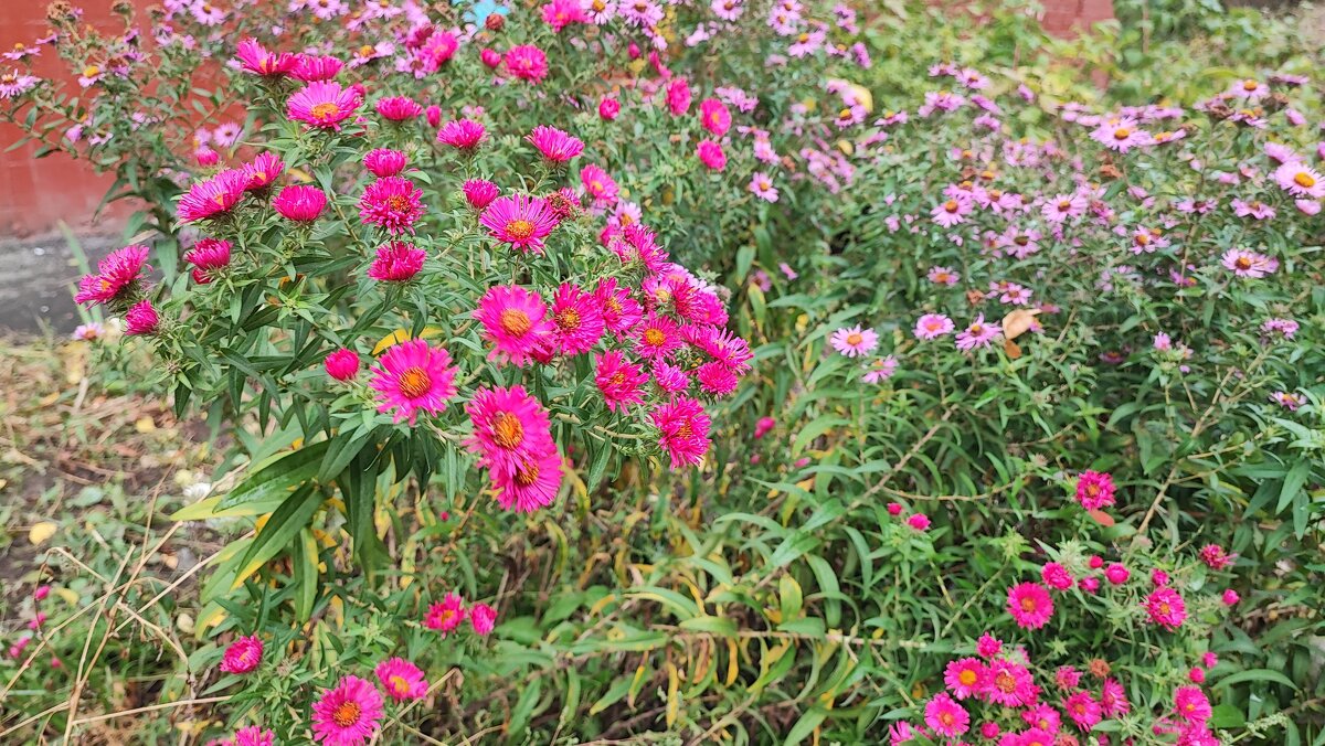 ,,, - Сергей Тимоновский