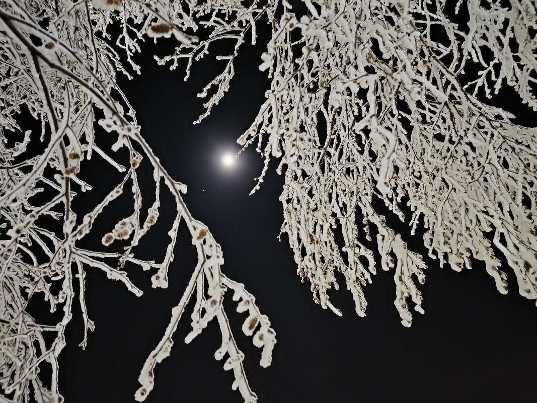 Луна и Юпитер - Anna Ivanova