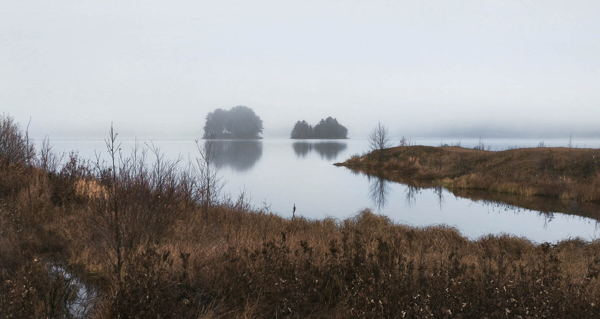 Утро туманное - Сергей l
