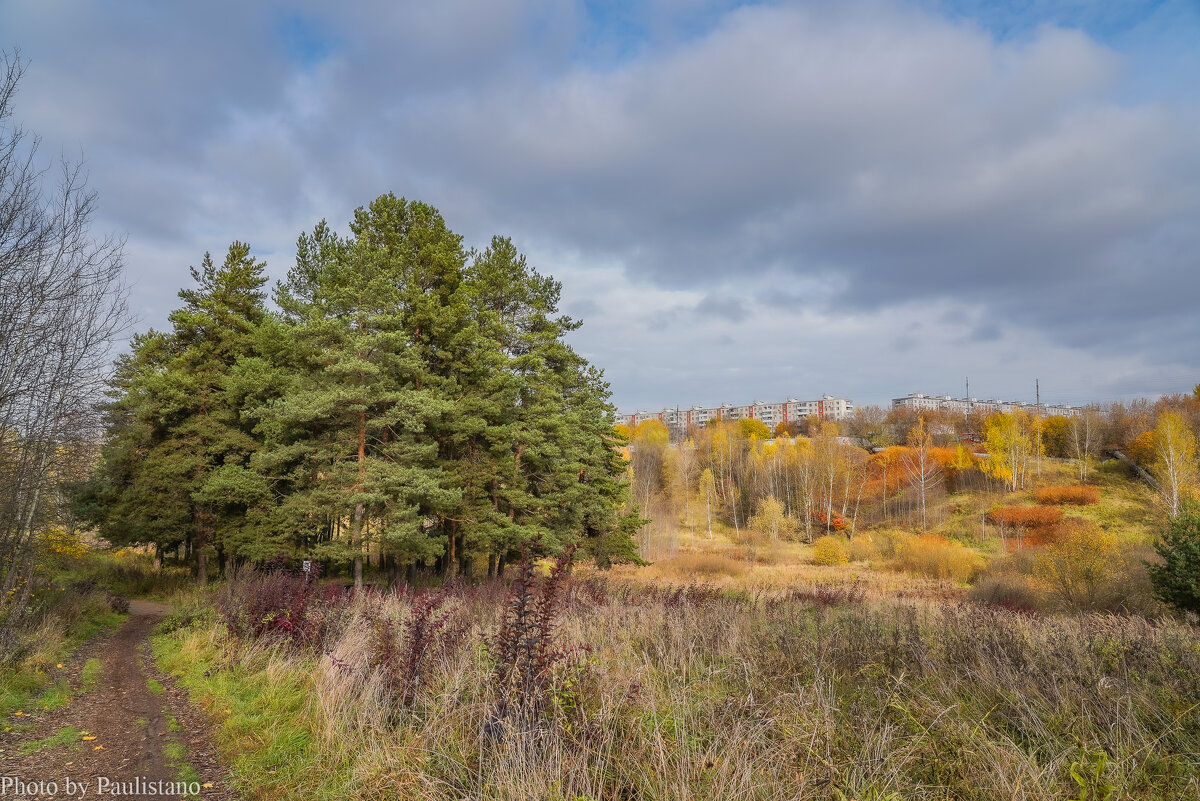 Палитра октября... - Владимир Жданов