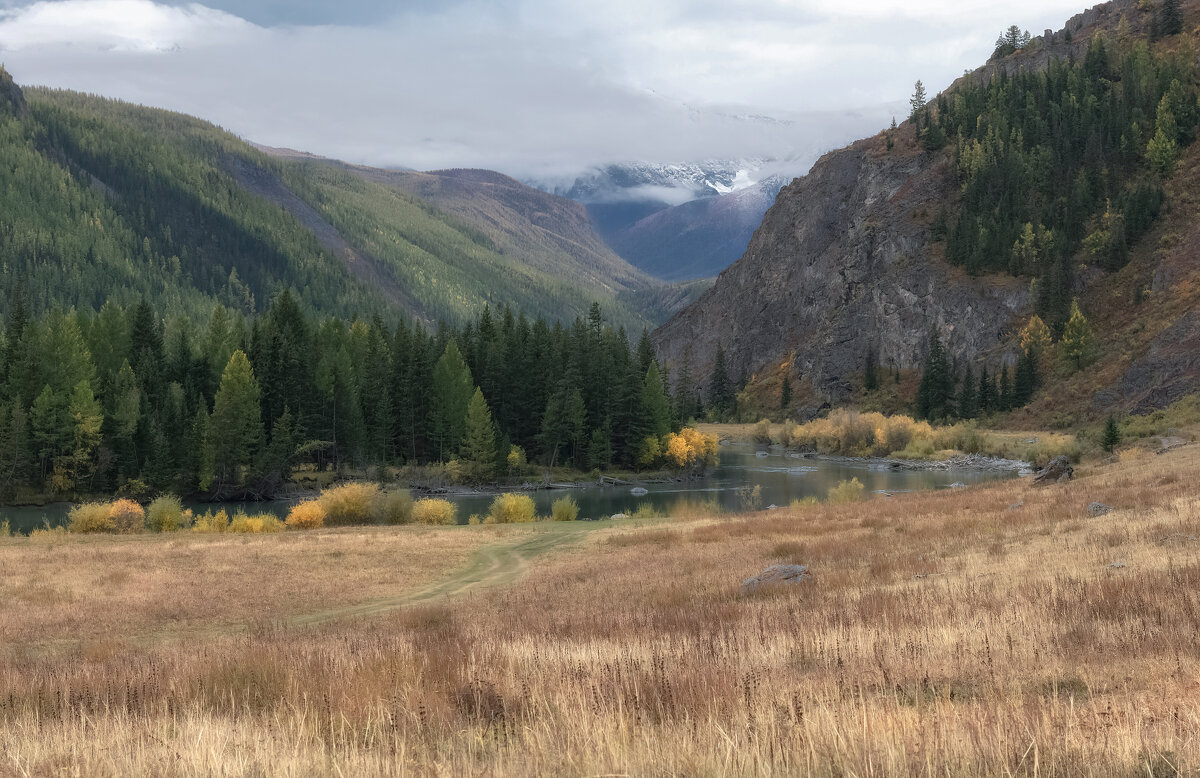 Осенняя Чуя - Марина Фомина.