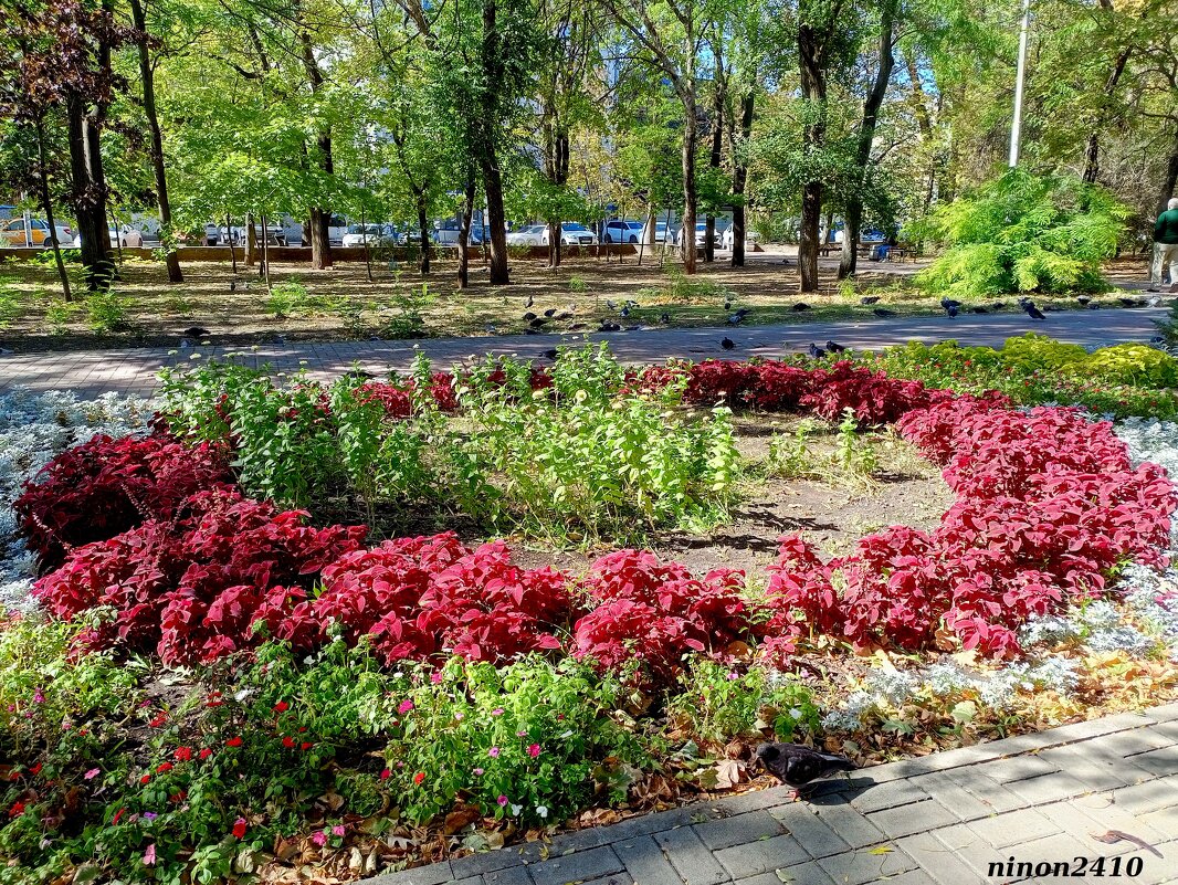 Ростовская осень - Нина Бутко