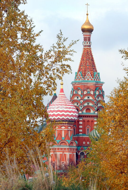Зарядье 18 октября - Михаил Бибичков