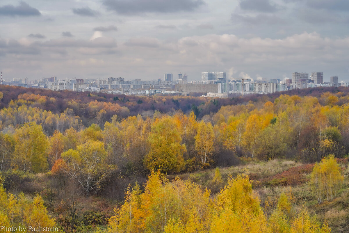 Московская осень... - Владимир Жданов
