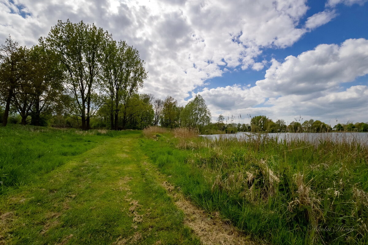 *** - Николай Гирш