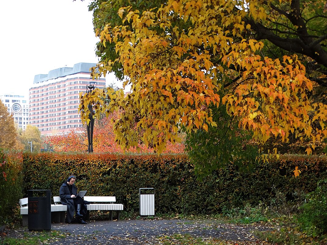 Осень в Москве - svk *