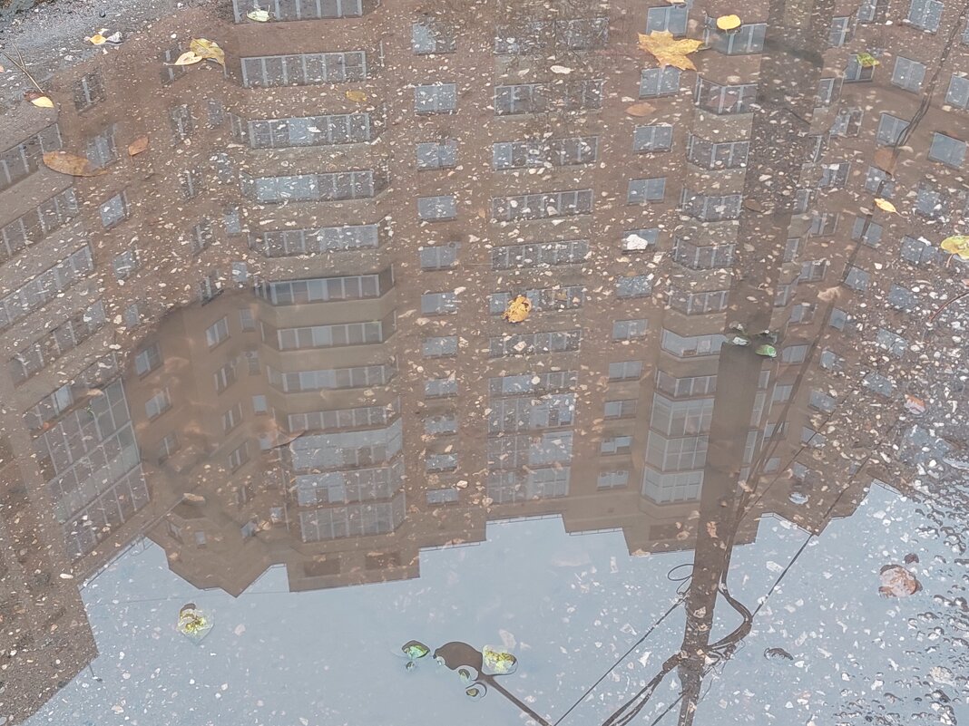 лужа - Артём 