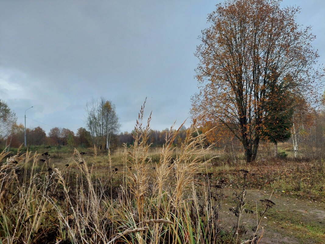 увядание - Артём 