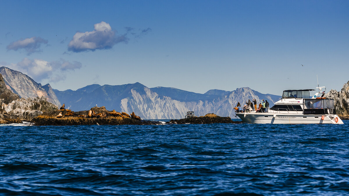 ... - Жора Житников ... - Жора Житников
