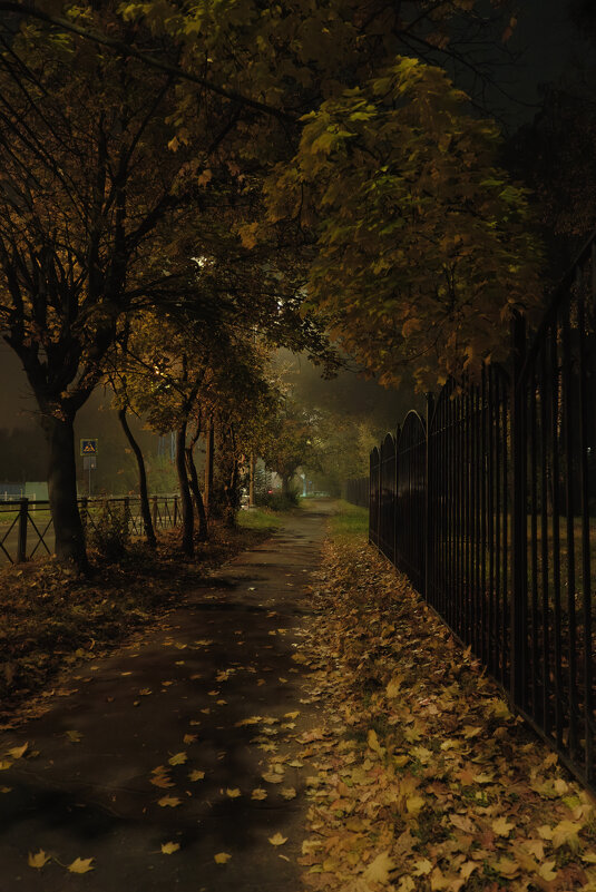 Осень. Утро. Туман - Dar(k) Life