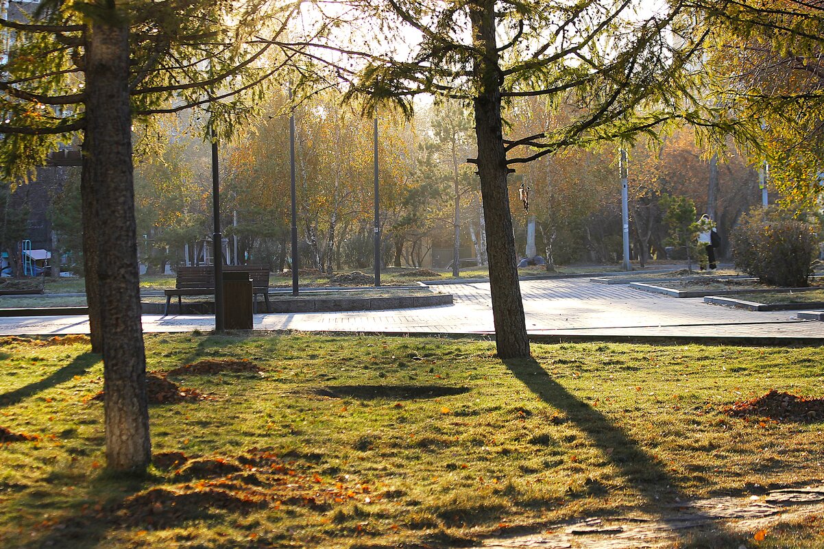 Осень - Василий 